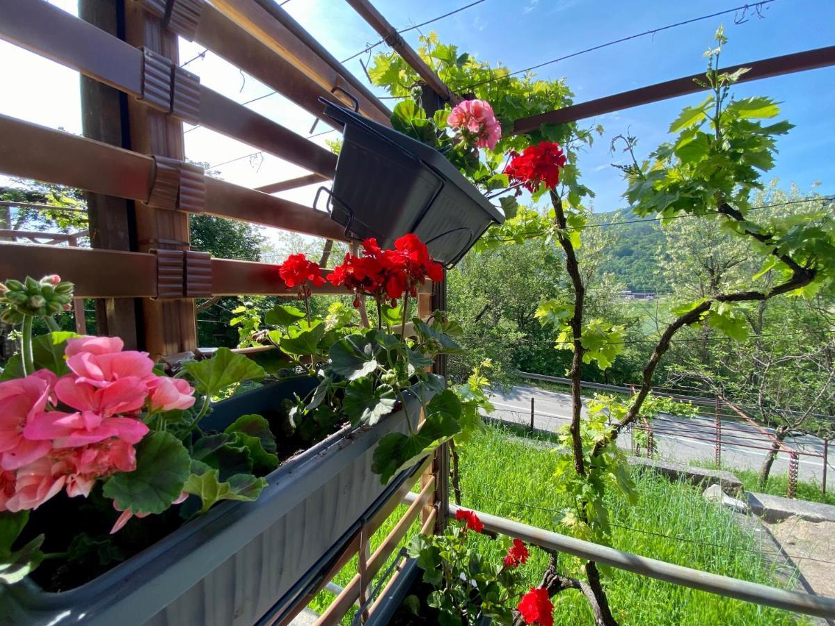 Apartment Verona Buzet